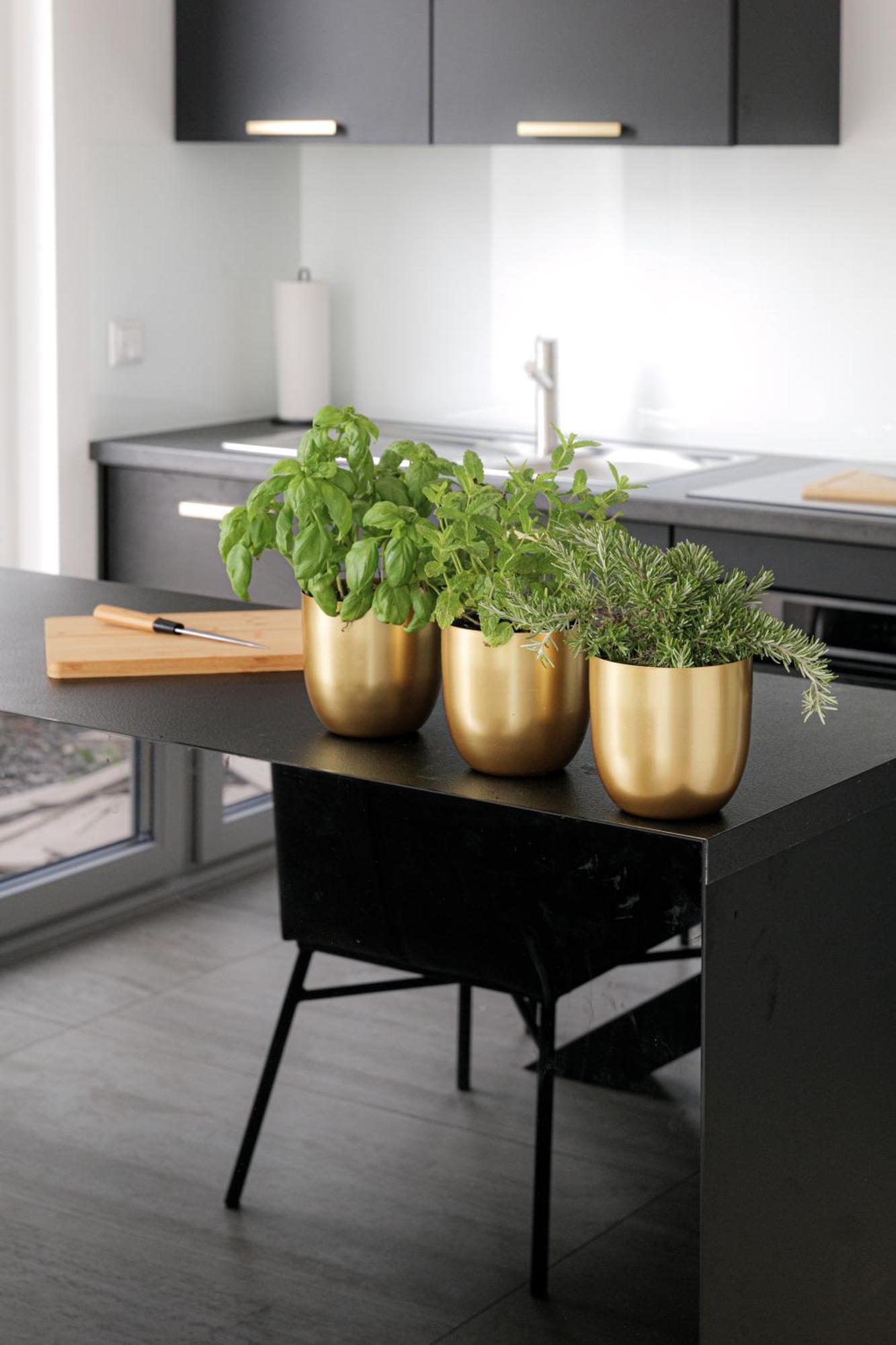 Lulex IV - Traumwohnung Terasse Garten In Neuss Luaran gambar